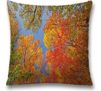 Декоративная наволочка JoyArty sl_16587