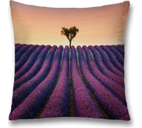 Декоративная наволочка JoyArty sl_17245