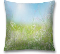 Декоративная наволочка JoyArty sl_15843