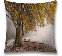 Декоративная наволочка JoyArty sl_16593