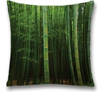 Декоративная наволочка JoyArty sl_13729