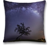 Декоративная наволочка JoyArty sl_17219