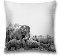 Декоративная наволочка JoyArty sl_13714