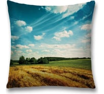 Декоративная наволочка JoyArty sl_13663