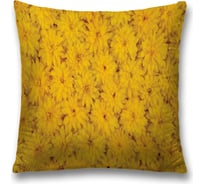 Декоративная наволочка JoyArty sl_13409