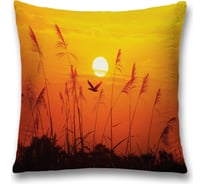 Декоративная наволочка JoyArty sl_16697