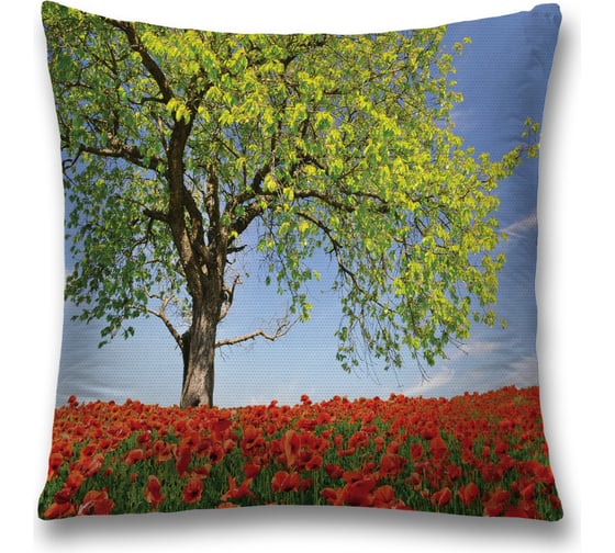 Декоративная наволочка JoyArty sl_16559