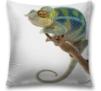 Декоративная наволочка JoyArty sl_13370