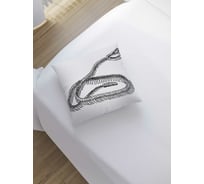 Декоративная наволочка JoyArty sl_13379