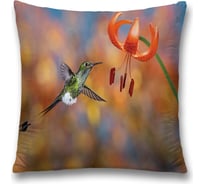 Декоративная наволочка JoyArty sl_17104