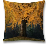 Декоративная наволочка JoyArty sl_17237