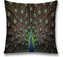 Декоративная наволочка JoyArty sl_17196