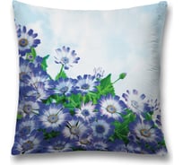 Декоративная наволочка JoyArty sl_13638