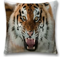 Декоративная наволочка JoyArty sl_12722