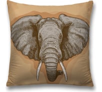 Декоративная наволочка JoyArty sl_13715