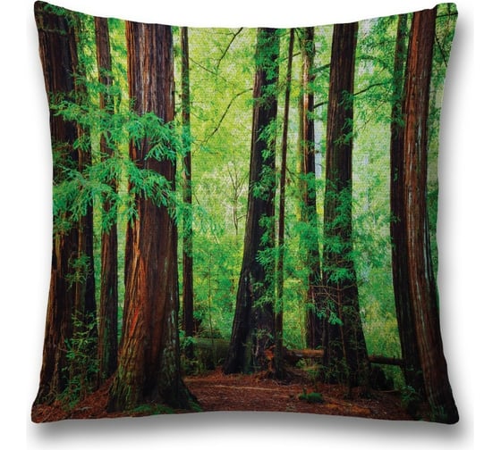 Декоративная наволочка JoyArty sl_12596