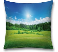 Декоративная наволочка JoyArty sl_13662