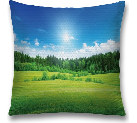 Декоративная наволочка JoyArty sl_13662