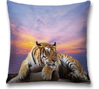 Декоративная наволочка JoyArty sl_12731