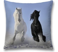 Декоративная наволочка JoyArty sl_16137