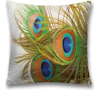 Декоративная наволочка JoyArty sl_12588