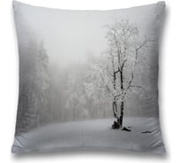 Декоративная наволочка JoyArty sl_17240