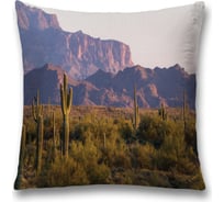 Декоративная наволочка JoyArty sl_15719