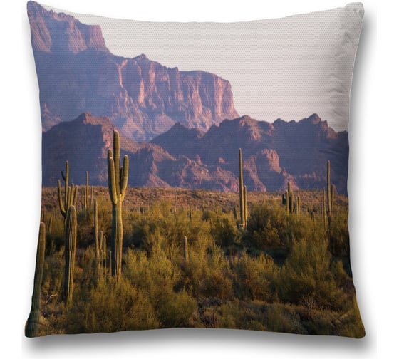 Декоративная наволочка JoyArty sl_15719 1