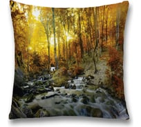 Декоративная наволочка JoyArty sl_16174