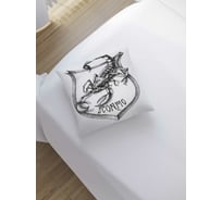 Декоративная наволочка JoyArty sl_13364