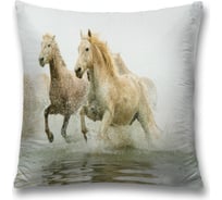 Декоративная наволочка JoyArty sl_16165