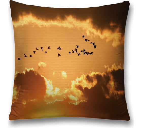 Декоративная наволочка JoyArty sl_16700