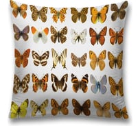 Декоративная наволочка JoyArty sl_15899