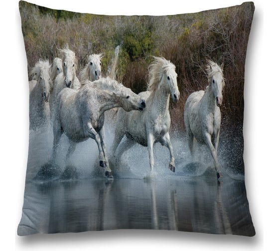 Декоративная наволочка JoyArty sl_16145 1