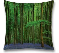 Декоративная наволочка JoyArty sl_12600