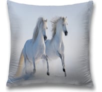 Декоративная наволочка JoyArty sl_16142