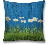 Декоративная наволочка JoyArty sl_13643