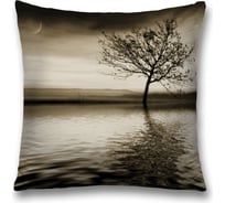 Декоративная наволочка JoyArty sl_17222