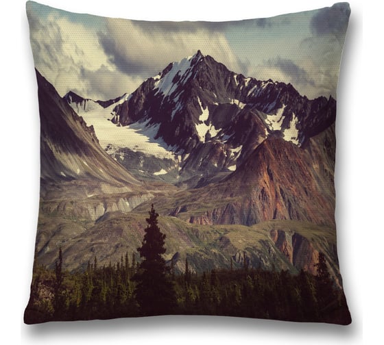 Декоративная наволочка JoyArty sl_13673 1