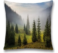 Декоративная наволочка JoyArty sl_15758