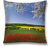 Декоративная наволочка JoyArty sl_13640