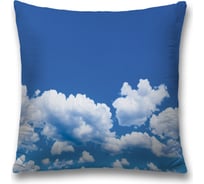 Декоративная наволочка JoyArty sl_13024