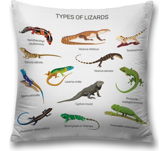 Декоративная наволочка JoyArty sl_13401