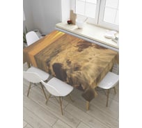 Прямоугольная скатерть JOYARTY Бурный закат из сатена tc_8341_120x145