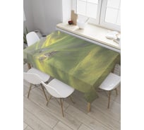 Прямоугольная скатерть JoyArty Одинокий дом на холме из сатена tc_9215_120x145