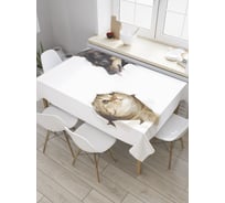 Прямоугольная скатерть JoyArty Кот спрятался из сатена tc_28108_120x145