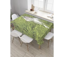 Прямоугольная скатерть JoyArty Котик и бабочка из сатена tc_28438_120x145