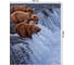 Прямоугольная скатерть JoyArty Медвежья рыбалка из сатена tc_21729_120x145 2