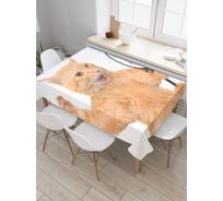 Прямоугольная скатерть JoyArty Кот видит льва из сатена tc_30167_120x145