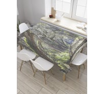 Прямоугольная скатерть JoyArty Лесная тропинка из сатена tc_31054_120x145